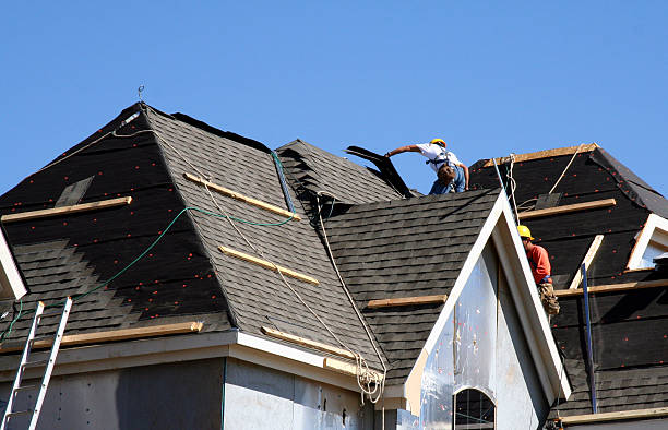 Best Metal Roofing Contractor  in Osceola, MO